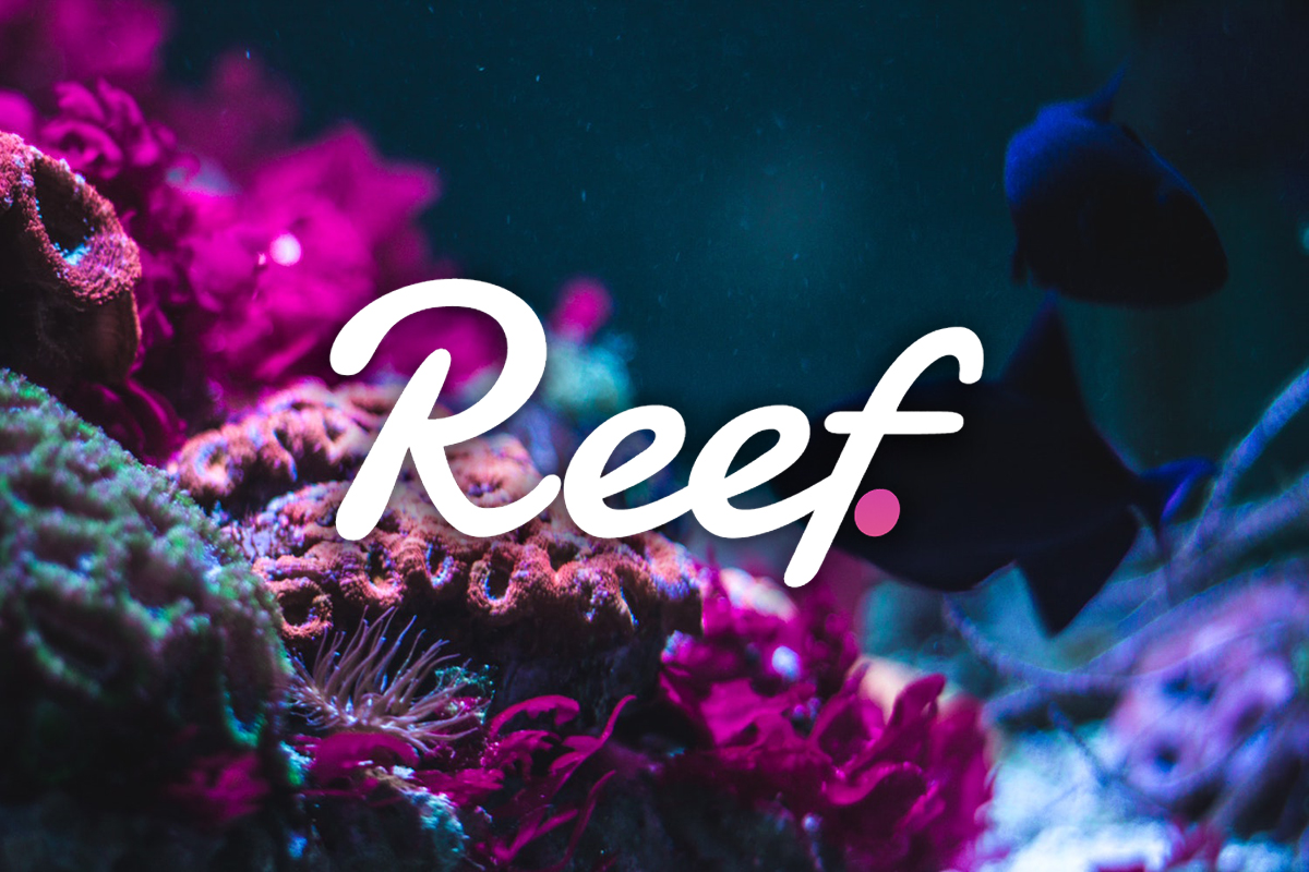 Reef Coin Hakkında